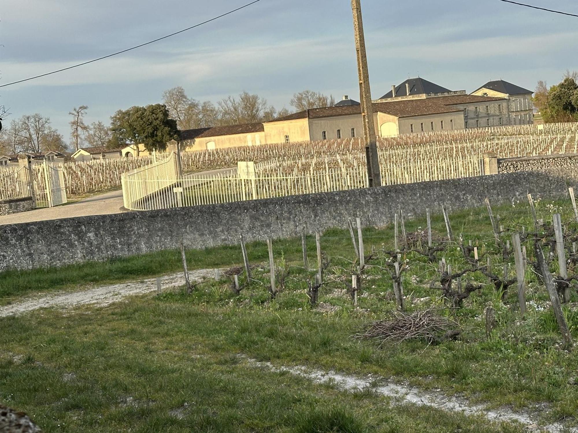 Maison Jeroboam Saint-Estephe  Exterior photo